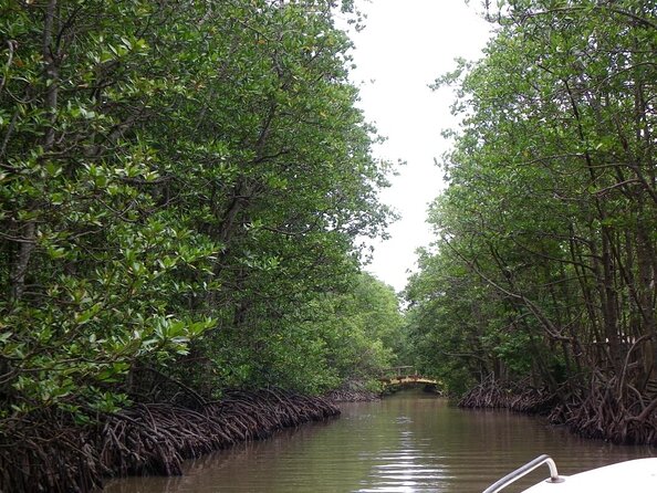 1-Day Can Gio Island-Mangrove Biosphere Reserve-Trekking - Leaving Ho Chi Minh City: the Vam Sat Road Trip Reset