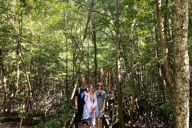 1-Day Can Gio Island-Mangrove Biosphere Reserve-Trekking - Should you book the Can Gio mangrove canoe + trek day trip?