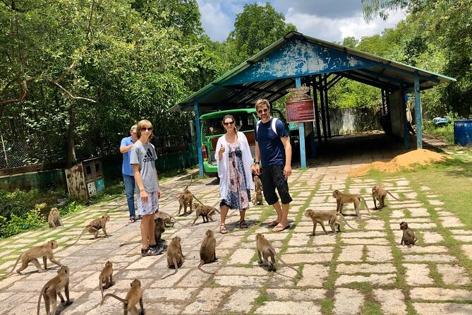 1-Day Can Gio Island-Mangrove Biosphere Reserve-Trekking - FAQ