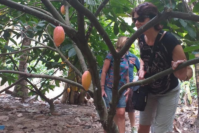 2-Day Mekong Delta with Cai Cang Floating Market from HCM City - Boat time, river craft, and what you’ll actually learn by watching