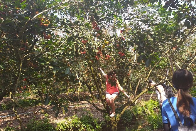 2-Day Mekong Delta with Cai Cang Floating Market from HCM City - Stork sanctuary and rice paddies: a calmer day with real nature cues