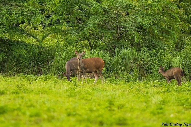 2-Day Trekking & Biking Nam Cat Tien National Park from HCM City - Biking to Ta Lai Long House: why this part works