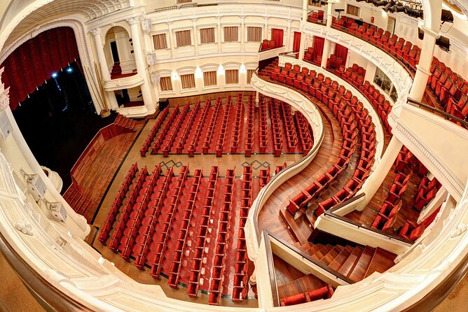 A O Show - Included: Tour guide, Car Pick Up And Drop Off - The Venue Night-Plan: Parking Your Brain After the Show