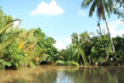 Authentic 'Non-Touristy' Mekong Delta Ben Tre 1 Day Private Tour - Boat Time on the Ham Luong River and Coconut Canals