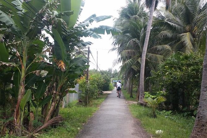 Authentic 'Non-Touristy' Mekong Delta Ben Tre 1 Day Private Tour - Riding Bikes in Ben Tre: Scenic Roads With Real Energy