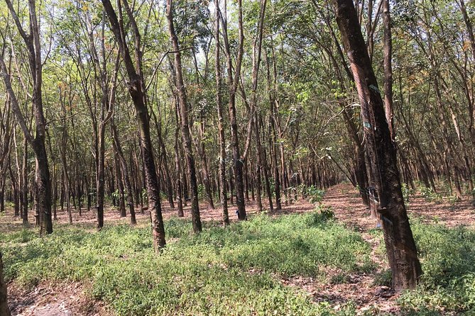Ben Duoc - Authentic Cu Chi Tunnels Private Tour - What to bring and wear: small choices that prevent big discomfort