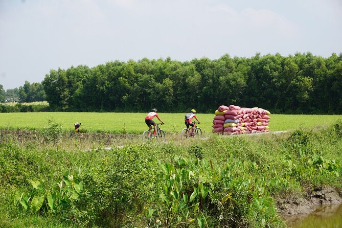 Bike And Boat Mekong Delta Cycling Tour - Long An Province: rice-side roads and that first look at rural Mekong life