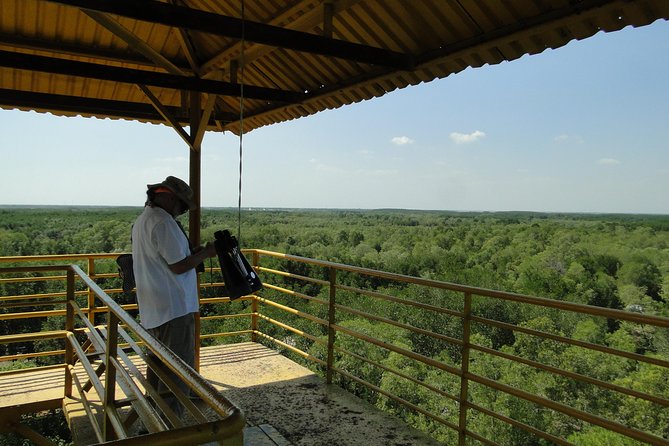 Can Gio Mangrove Eco And Wildlife Discovery Tour - Dan Xay Bridge and the water start that sets the tone