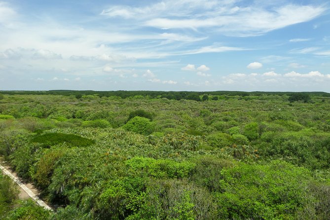 Can Gio Mangrove Eco And Wildlife Discovery Tour - Lunch in the middle: keeping the schedule humane