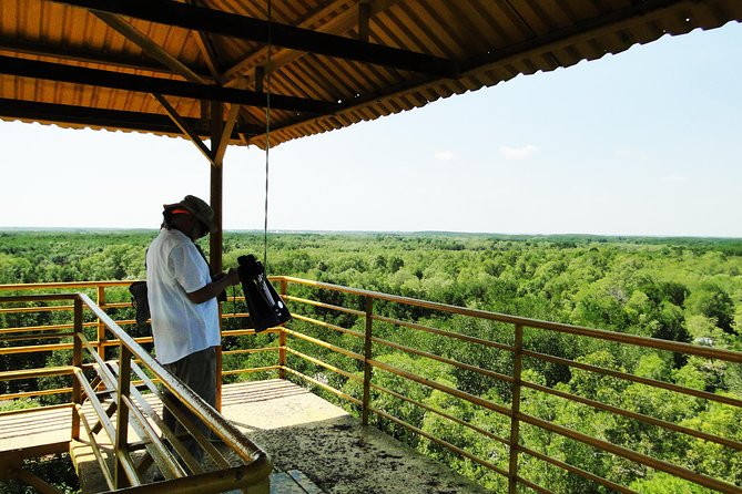 Can Gio Mangrove Eco And Wildlife Discovery Tour - Monkey Island and the Can Gio Museum: learn what you’re looking at