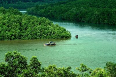 Can Gio Mangrove Forest 1 day tour - Dan Xay bridge pier sugar cane juice and first river views