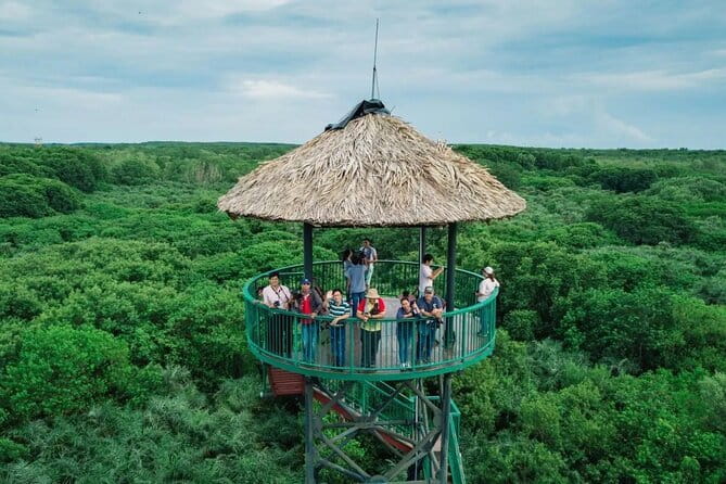 Can Gio Mangrove Forest Island Private Tour From Ho Chi Minh City - Price and value: is $150 per person fair for an 8-hour private eco day?