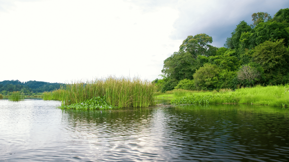 Cat Tien National Park with Crocodile Lake - Price and Value: Is This $165 Worth It for Two Days?