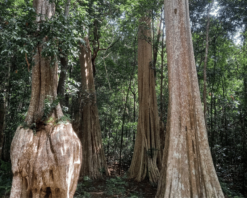 Cat Tien National Park with Crocodile Lake - Green Hope Lodge and Meals: The Comfort That Actually Helps You Enjoy Nature