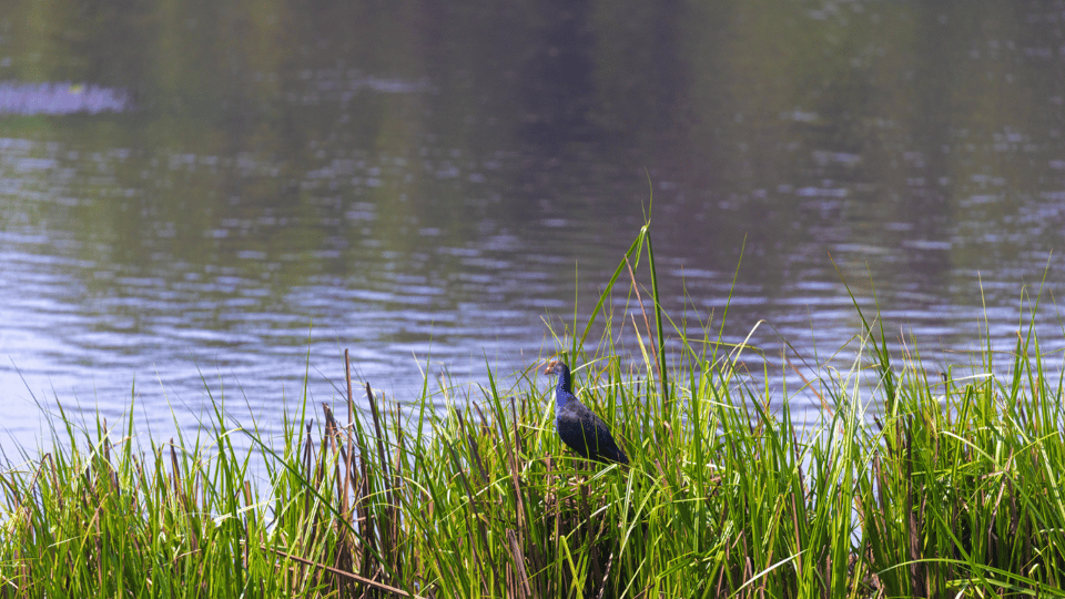 Cat Tien National Park with Crocodile Lake - What to Bring (and What to Skip)