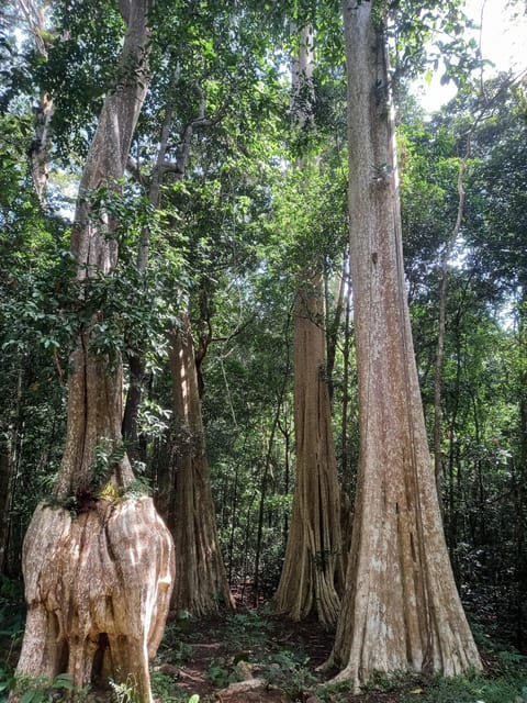 Cat Tien National Park with Crocodile Lake - Who This Tour Fits Best (and Who Might Want Another Option)