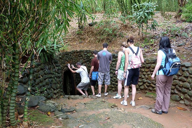 Chu Chi Tunnel With Cao Dai Temple Tour From Ho Chi Minh - Great Holy See Temple: what you’ll see during the Cao Dai midday service