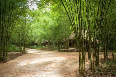 Cu Chi Tunnel Half Day - Small Group Tour - The Small-Group Pace and Guide Style
