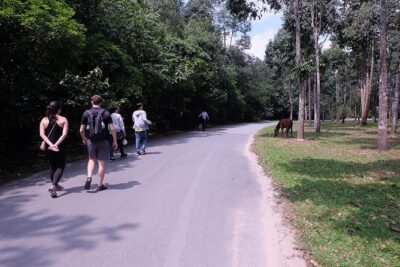 Cu Chi Tunnels By Motorbike and Scooter - Beyond the Tunnels: Local Family Visit and a Rubber Tree Farm Stop