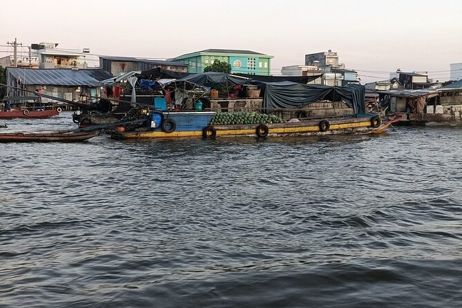 Deluxe Mekong Delta Tour to Floating Market 2 Days 1 Night Trip - From Ho Chi Minh City to the Mekong: The Pace Is Fast, But It Works