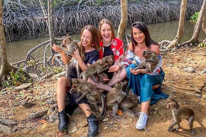 Explore Monkey Islands and Gio Mangrove Forest From Ho Chi Minh - Lunch at a Local Restaurant: A Simple Reset in the Middle of a Packed Day