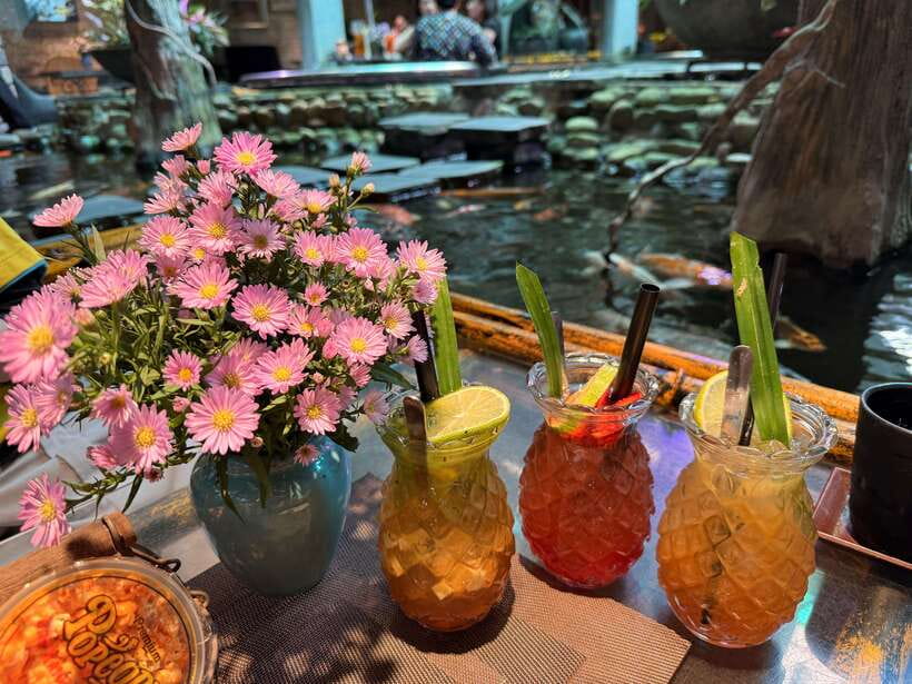 Free E-Sim Ho Chi Minh City: Pagodas and Coffee Corners Tour - Oasis Coffee and the koi fish pond: when you need a calmer moment