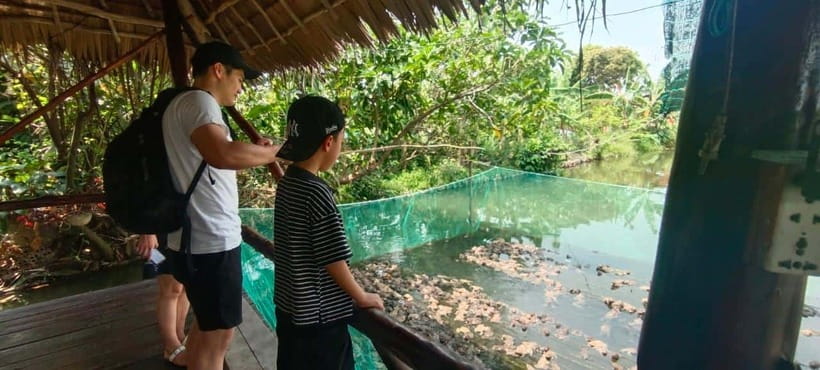 From HCM 1-day Cai Rang floating market local mekong village - Floating fish raft village and fish-farm toe nibbling