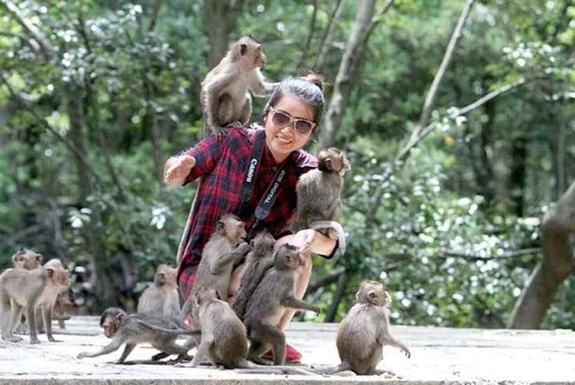 From Ho Chi Minh: Can Gio Monkey Island & Mangrove Tour - Key things to know before you go