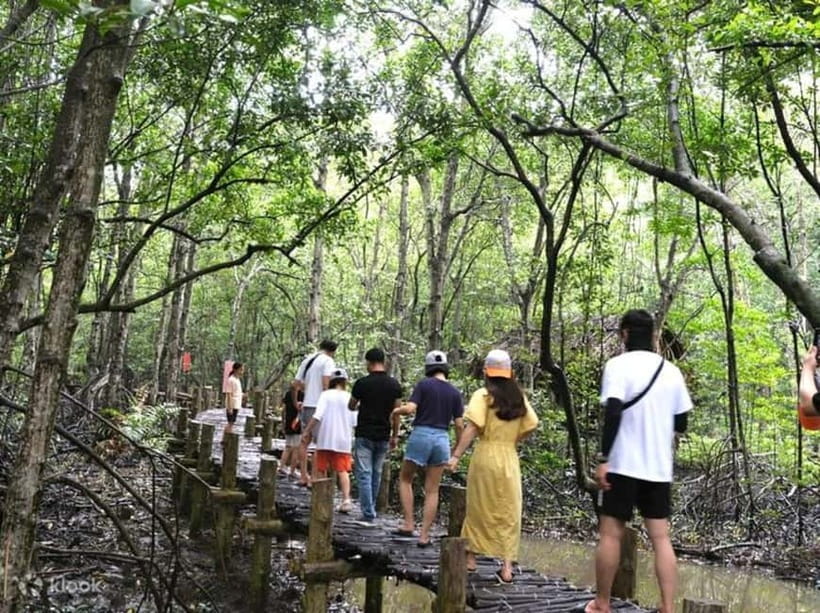 From Ho Chi Minh: Can Gio Monkey Island & Mangrove Tour - Monkey Island: feeding free-roaming monkeys (and avoiding chaos)