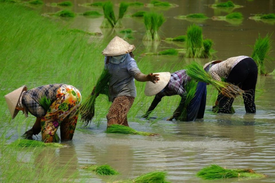 From Ho Chi Minh City: Mekong Delta Full-Day Private Tour - Key highlights worth getting excited about