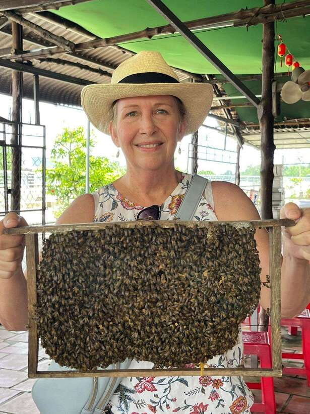 From Ho Chi Minh : Cu Chi Tunnels and Mekong Delta Day Trip - The Drive Toward the Mekong River: Why the Change Matters