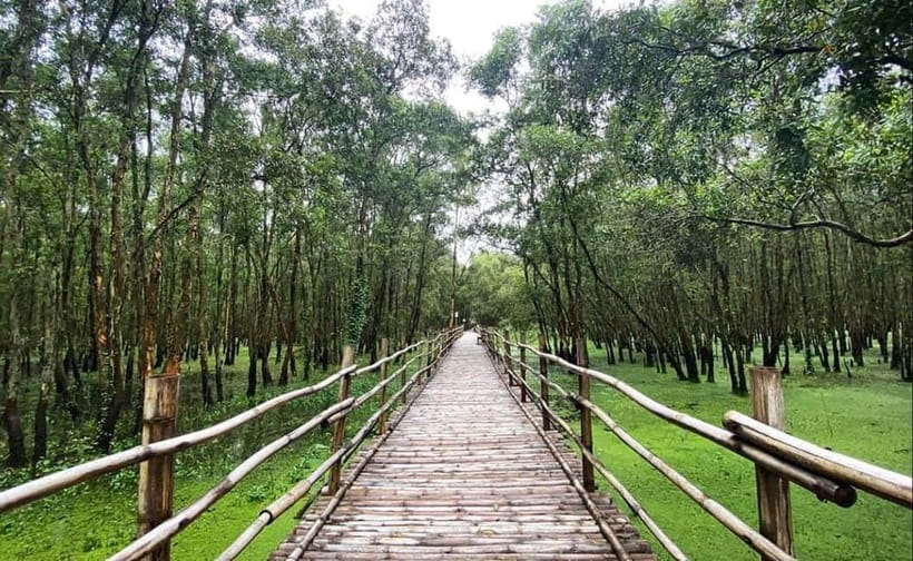 From Ho Chi Minh: Mekong Delta 3-Day Tour with Tra Su Forest - Key highlights worth your attention