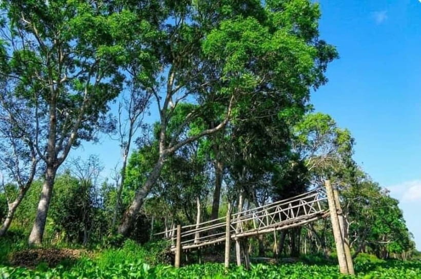 From Ho Chi Minh: Mekong Delta 3-Day Tour with Tra Su Forest - FAQ