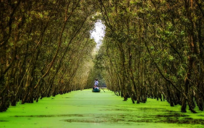 From Ho Chi Minh: Mekong Delta 3-day w Tra Su Forest - Unicorn Island pomelo + bee farm: why this stop works