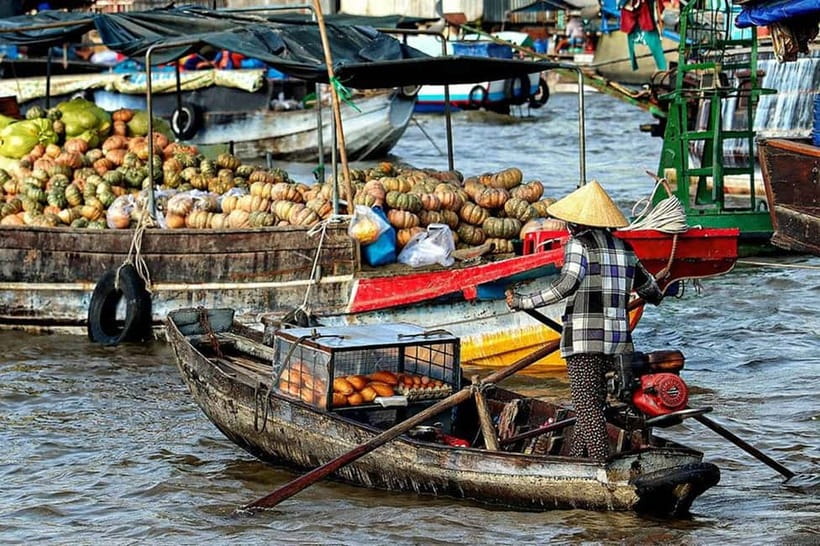 From Ho Chi Minh: Mekong Delta 3-day w Tra Su Forest - Trà Sư Mangrove Forest: the part you’ll remember