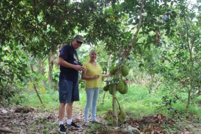 From Ho Chi Minh: Mekong Delta Private Day Tour - The Tien River cruise and the mythical islets: why this stop works