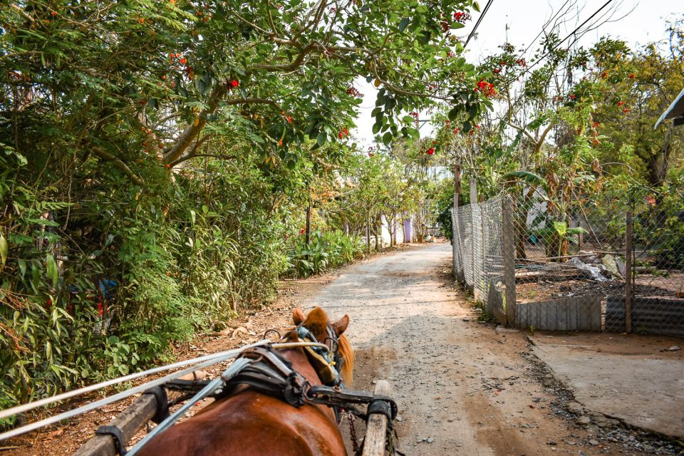 From Ho Chi Minh: Mekong Delta Private Day Tour - Optional python farm stop: decide based on your comfort