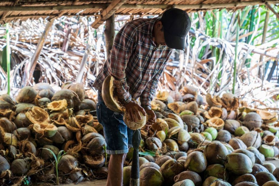 From Ho Chi Minh: Mekong Delta with Ben Tre 1 Day Tour - Key highlights at a glance