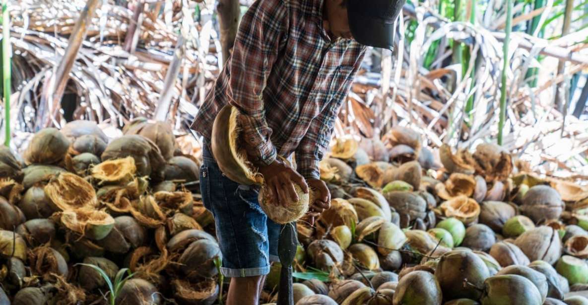 From Ho Chi Minh: Mekong Delta with Ben Tre 1 Day Tour - A Ben Tre day tour that trades crowds for canals