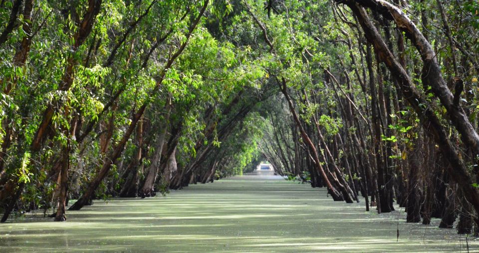 From Ho Chi Minh: Three-Day Mekong Delta Tour - Mekong Delta, but with real rhythm (Cai Be, Tan Phong, and Chau Doc)