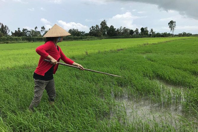 FULL Day - CAI RANG FLOATING MARKET, COOKING CLASS AND EXPLORE THE COUNTRYSIDE - Lunch, Then a Hammock Nap: Why This Part Isn’t Just Relaxation