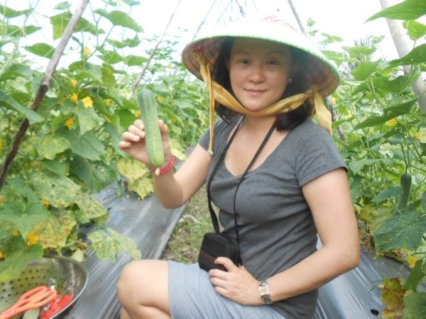 Full-Day Farming & Cooking class at Agricultural Village - Key Highlights You’ll Feel Right Away