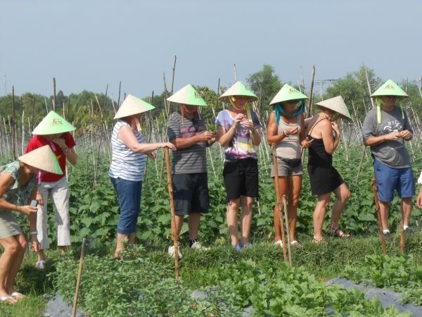 Full-Day Farming & Cooking class at Agricultural Village - Cu Chi at Farm Speed: From Ho Chi Minh City to the Fields