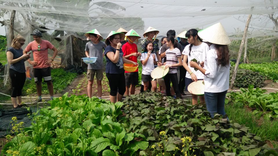 Full-Day Farming & Cooking class at Agricultural Village - Practical Tips Before You Go: Comfort, Repellent, and Food Needs