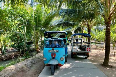 Full Day Guided Mekong Delta Day Tour in Vietnam (Multilingual) - The Vĩnh Tràng Pagoda stop: one hour of culture that’s easy to handle