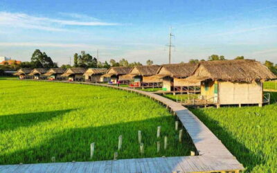 HCM: Authentic Dong Thap Mekong Delta Day Trip & Boat Ride - The early start: District 1 pickup to Cao Lãnh