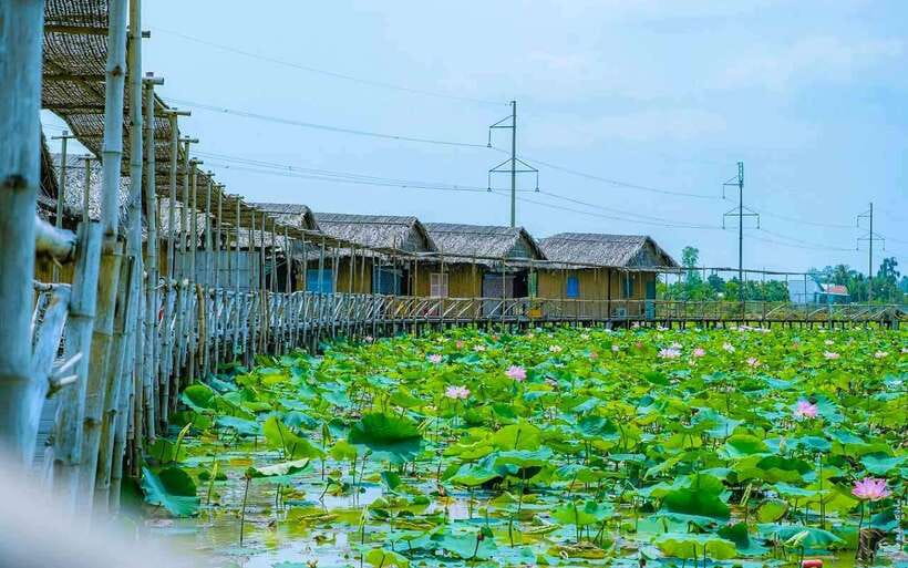 HCM: Authentic Dong Thap Mekong Delta Day Trip & Boat Ride - Price, comfort, and who should book (or skip)