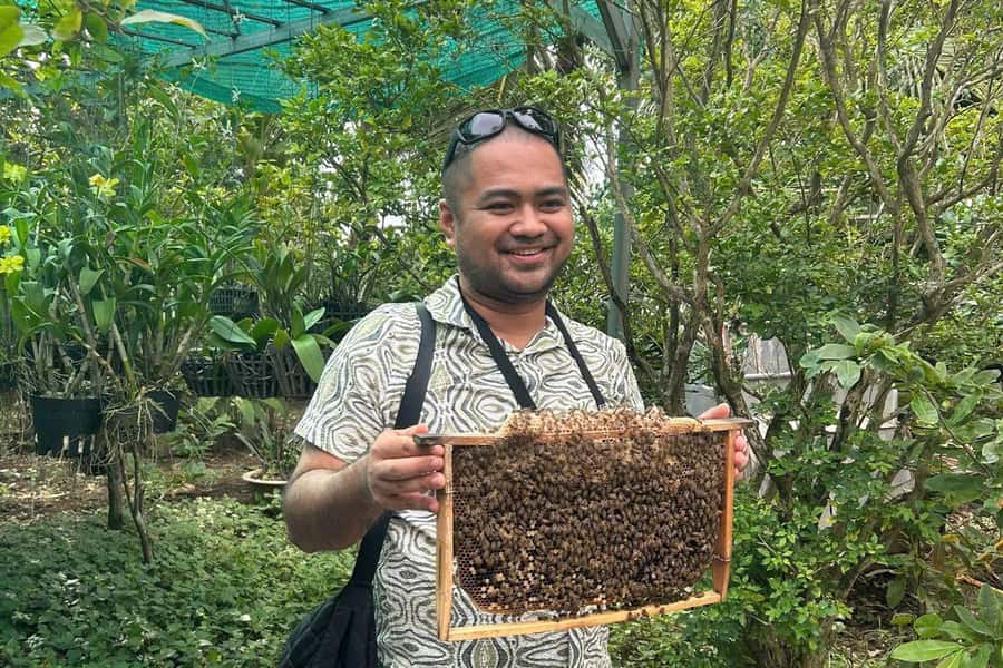 Ho Chi Minh: Adventurous Mekong Delta Full Day Tour - Bao Dinh Canal to Ben Tre: where farming looks like a system