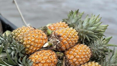 Ho Chi Minh: Authentic boat trip - Cai Rang Floating Market - Breakfast on the river: more than a meal, it’s the market rhythm