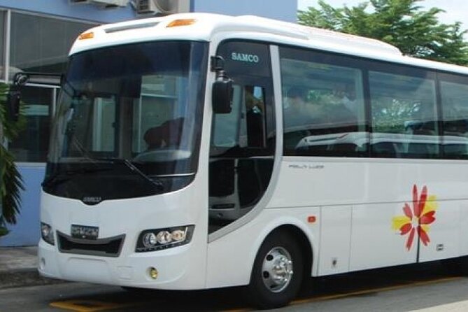 Ho Chi Minh City Airport Arrival Transfer to Hotel - Meeting Your Driver at Tan Son Nhat Without the Headache